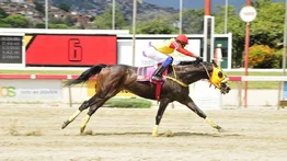 La Rinconada: esta yegua ajusta y buscará sorprender en el Clásico "Gustavo Ávila"