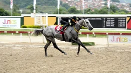 Barrywhithe ajusta bien con nueva monta en La Rinconada