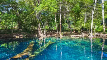 República Dominicana recibe ayuda forestal de Alemania y la Unión Europea República Dominicana recibe ayuda forestal de Alemania y la Unión Europea