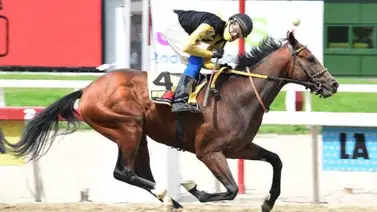 Amelazado, con 35 días sin correr, buscará ganar el Clásico “Juan Arias” en La Rinconada Amelazado, con 35 días sin correr, buscará ganar el Clásico “Juan Arias” en La Rinconada