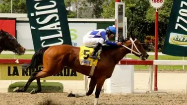 Lyndacarter reaparece en el Clásico “Gustavo Ávila” en La Rinconada Lyndacarter reaparece en el Clásico “Gustavo Ávila” en La Rinconada
