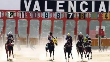El Hipódromo Nacional de Valencia nos presenta los inscritos para la R9 de este sábado El Hipódromo Nacional de Valencia nos presenta los inscritos para la R9 de este sábado