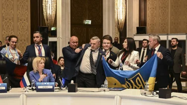 Golpes entre delegados de Rusia y Ucrania en la cumbre de la BSEC (+Videos)