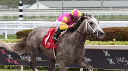Conoce a uno de los candidatos para llevarse el Kentucky Derby este sábado en EEUU