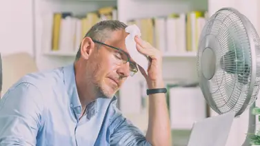 Efectos de las altas temperaturas en el cuerpo humano Efectos de las altas temperaturas en el cuerpo humano