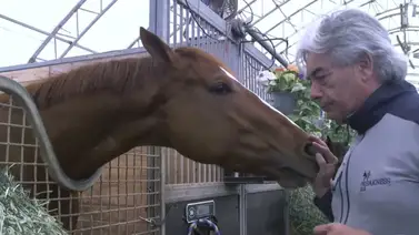 Sepa más: Esto dijo Gustavo Delgado sobre el puesto de salida de Mage en el Kentucky Derby Sepa más: Esto dijo Gustavo Delgado sobre el puesto de salida de Mage en el Kentucky Derby