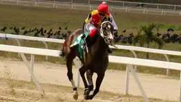 Esta yegua es amplia candidata para ganar el Clásico “Asamblea Nacional” en La Rinconada