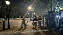 Hombre arrojó supuestos cartuchos de escopeta al palacio de Buckingham
