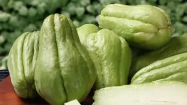 Chayota: estos son los beneficios que aporta Chayota: estos son los beneficios que aporta