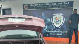 Portuguesa: Hombre pretendía traficar a tres osos hormigueros ¡Así fue descubierto! (+FOTOS)