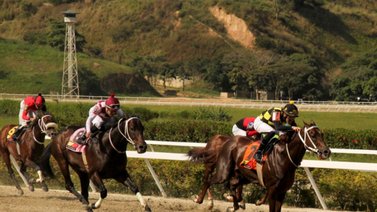 Con 77 días sin correr, este ejemplar buscará su segunda victoria del año en La Rinconada