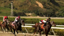 Con 77 días sin correr, este ejemplar buscará su segunda victoria del año en La Rinconada