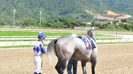 Clásico "Día del Trabajador” se correrá este sábado en el Hipódromo Nacional de Valencia