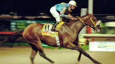 My Own Business, el más rápido en la historia del Clásico Presidente de la República My Own Business, el más rápido en la historia del Clásico Presidente de la República