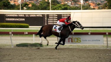 Templario reafirma favoritismo para ganar el Clásico Presidente de la República en La Rinconada