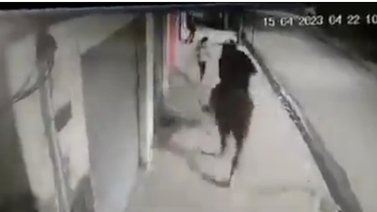 Atracador azota a madrugadores y huye en su caballo (+Detalles)