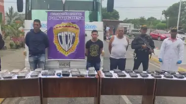 Capturan a 12 personas por tráfico de drogas en cuatro estados Capturan a 12 personas por tráfico de drogas en cuatro estados