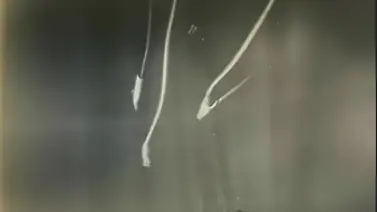 Una imagen creada con inteligencia artificial gana un premio de fotografía Una imagen creada con inteligencia artificial gana un premio de fotografía