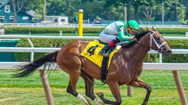 Las apuestas deportivas más locas de la historia Las apuestas deportivas más locas de la historia