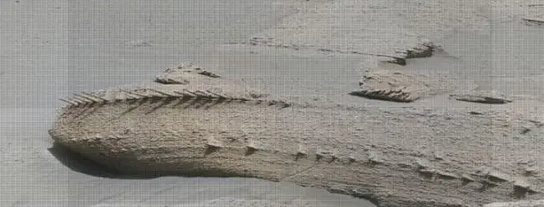 El Rover de Marte detecta huesos de criaturas ancestrales El Rover de Marte detecta huesos de criaturas ancestrales