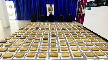 LO ÚLTIMO: Cicpc incautó 251 panelas de droga (+Detalles)