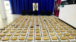 LO ÚLTIMO: Cicpc incautó 251 panelas de droga (+Detalles)
