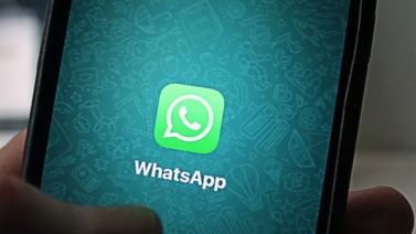 Modo compañero de WhatsApp: Qué es y cómo activarlo