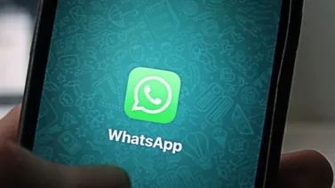 Modo compañero de WhatsApp: Qué es y cómo activarlo