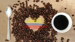 Sepa cuánto ha caído la producción de café en Colombia