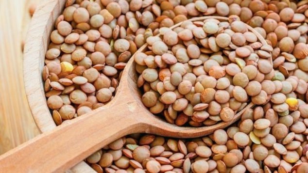 Albóndigas de lentejas: un plato nutritivo y delicioso Albóndigas de lentejas: un plato nutritivo y delicioso