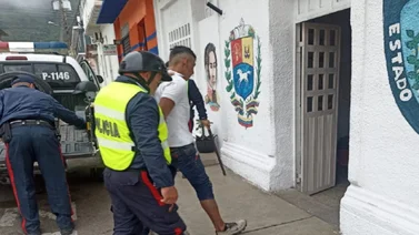 ¡Desalmado! Mató a puñaladas a una perrita y lastimó a su cría