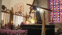 ¿Cuánto cuestan las orquídeas para venerar al Nazareno de San Pablo?