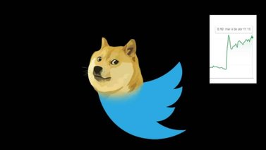 Un perrito reemplaza al "pajarito azul" de Twitter ¿Por qué?