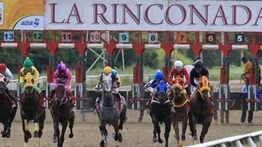 Sepa más: Los detalles de la jornada hípica en el hipódromo de la Rinconada