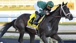 Vive con Meridiano TV la pasión del Florida Derby en transmisión exclusiva