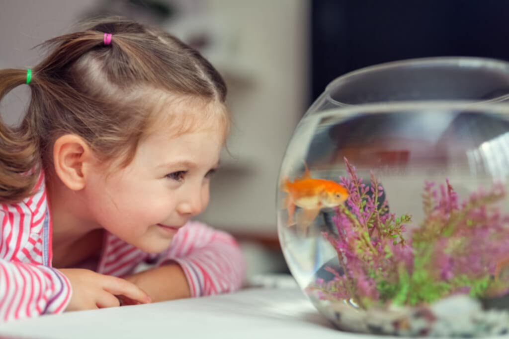 Garantiza la supervivencia de los peces por más tiempo