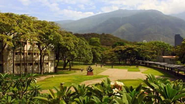 Reportan violación de una estudiante dentro de la UCV (+Detalles)