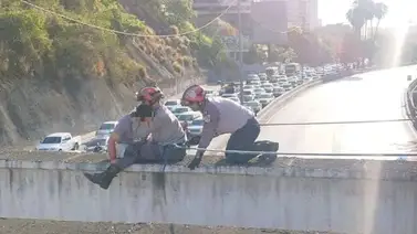 Rescatan a un hombre que pretendía saltar desde el distribuidor Mohedano Rescatan a un hombre que pretendía saltar desde el distribuidor Mohedano