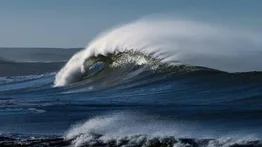 Protección Civil prepara a estados costeros para simulacro de tsunami