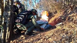 FANB desmantela zonas usadas por la banda “El Conejo” en la ARC