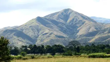 Simón Rengifo, el primer ingeniero forestal Simón Rengifo, el primer ingeniero forestal