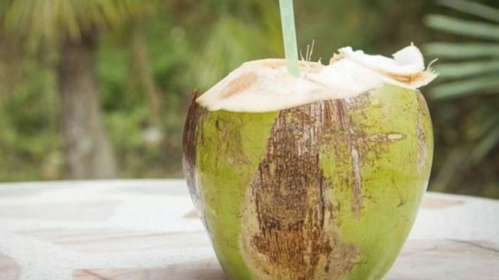 Agua de coco: estos son los beneficios que ofrece al organismo Agua de coco: estos son los beneficios que ofrece al organismo