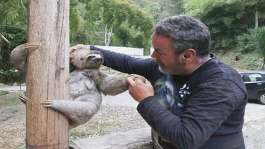 Minec libera cuatro animales para ser reintegrados a su hábitat natural