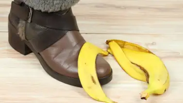 Tips para usar la concha de cambur Tips para usar la concha de cambur