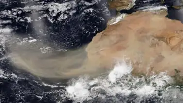 ¿El polvo del Sahara causará afectaciones de salud en Venezuela? ¿El polvo del Sahara causará afectaciones de salud en Venezuela?