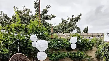 Patio con pocos metros, pero con un estilo único Patio con pocos metros, pero con un estilo único