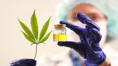Perú aprueba reglamento que regula uso medicinal del cannabis