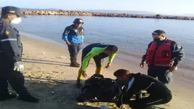 Hallan cuerpo del joven desaparecido en playa de Caimare chico Hallan cuerpo del joven desaparecido en playa de Caimare chico