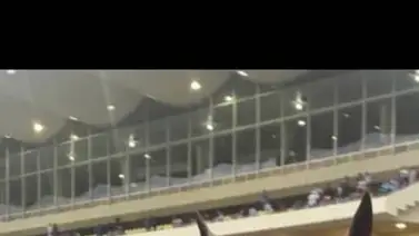 Este entrenador puede dar la pelea en el próximo Meeting de la Rinconada Este entrenador puede dar la pelea en el próximo Meeting de la Rinconada