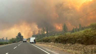 Cuatro muertos deja incendio forestal en Chile